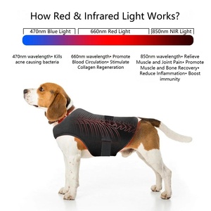 Dispositivo de Rehabilitación Portátil con Terapia de Luz Roja para Mascotas, Infrarrojo Lejano, para Gatos y Perros, Recuperación de Lesiones y Fracturas, Tamaños Pequeño, Mediano y Grande - Product Image 2