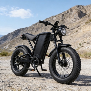 Vélo électrique tout-terrain professionnel à double moteur et pneus larges avec <span class=keywords><strong>suspension</strong></span> pour les trajets sur terrains accidentés - Product Image 4