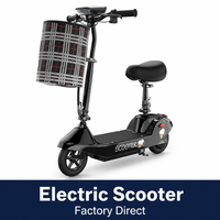 Trottinette électrique pour adultes, haute qualité, directement de l'usine, MOQ 1, modèle FLZ-SCOOT-34