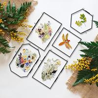 Cadre photo en laiton et verre fait main, vintage, double face, pour accrocher au mur, pour plantes, spécimens, art, décoration