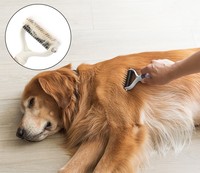 Brosse démêlante double face pour animaux de compagnie, peigne de toilettage anti-rayures à dents double face pour chats et chiens