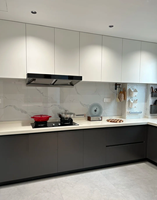 Soluciones Duraderas para Gabinetes de Cocina de Alto Brillo: Personalizables para Comercio Internacional y Hogares Contemporáneos