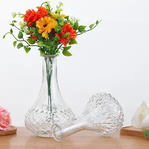 Eleganti vasi ovali in vetro vaso di fiori per la decorazione domestica