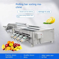 Appel Perzik Granaatappel Mandarijn Sinaasappel Avocado Peer Fruit Sorteer- en Classificeermachine