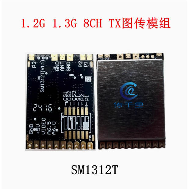 โมดูล SM1312T