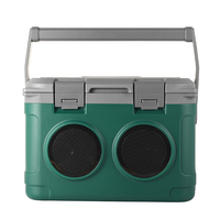 Sac Glacière Enceinte 21L avec Isolation Thermique pour Musique et Rafraîchissements à la Plage