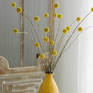 Long-Lasting Button Flower Yunnan Factory High Quality Direct Bulk Dried Craspedia One-Stop Custom for Wedding Home Office Decor - Product Image 6