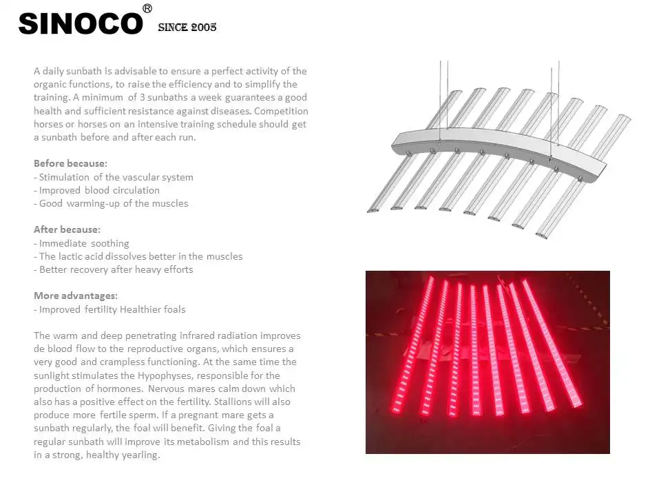 Cavallo stallo luce rossa terapia luce rossa equina solarium terapia luce rossa per cavalli led luce rossa cavalli di terapia