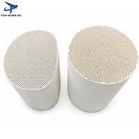 Filtro Antiparticolato Diesel (DPF) ad Alte Prestazioni, a Nido d'Ape in Ceramica Cordierite e Carburo di Silicio, Universale, Nuovo