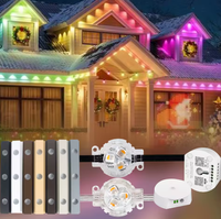 Luces LED de Píxeles RGB de 12V Ajustables para Exteriores, de PVC Impermeable IP68 de Alta Calidad