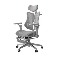 Chaise de bureau exécutive ergonomique moderne avec dossier réglable, design en maille confortable et pivotant, base en acier inoxydable, garantie 5 ans