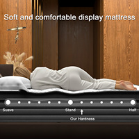 Matelas à ressorts ensachés en mousse à mémoire de forme compressée pour chambre à coucher - Tailles Twin, Queen, King - Colchones Matelas pour lit