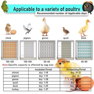 Bán buôn lớn thông minh tự động trứng lồng ấp 110V/220V với độ ẩm không đổi và nhiệt độ tự động cung cấp nước - Product Image 3