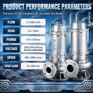 Pompe à eaux usées submersible automatique en acier inoxydable avec interrupteur à flotteur - Product Image 2