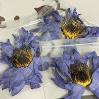 Bunga Teratai Biru Kering Nymphaea Caerulea dari Cina, Teh Kesehatan, Kemasan Besar
