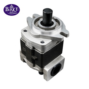 Bomba de engranajes hidráulica de repuesto SGP, bomba de aceite rotativa serie SGP1 SGP2 SGP2B-F para - Product Image 4