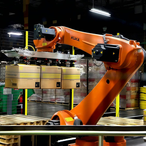 Pinze e ventose progettate in modo indipendente in combinazione con il braccio robotico CNGBS - Product Image 3