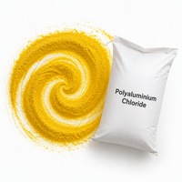 Chlorure de polyaluminium granulaire 30% PAC en poudre pour l'eau potable