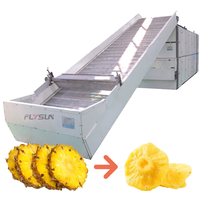 Heteluchtcirculatie continue tunnel droogapparatuur ananas schijf mesh banddroger automatische fruitdroger