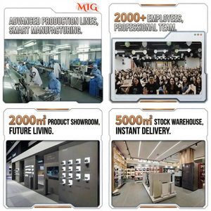 Piastra per Sollevamento Radici con Getto d'Aria, Styler Ionico Antistatico 2026, Schermo LCD, Logo Personalizzato a Basso MOQ per un Rapido Rinfresco Post-Allenamento - Product Image 6