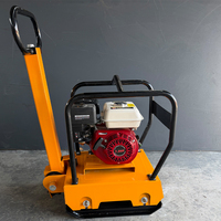 Compacteur à plaque vibrante réversible à essence de type 250 pour la compactation profonde des sols et des bases routières