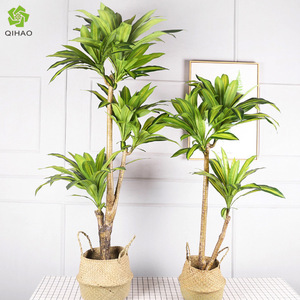 Bonsái Artificial de Madera de Hierro Brasileña QIHAO de 1.47m y 1.8m, Plantas Decorativas de Interior con Hojas de Alta Simulación para Decoración del Hogar - Product Image 1