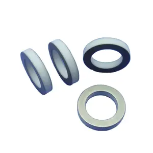 Best New Products Customized 95 Alumina Al2o3 Metallizing Ceramic Part