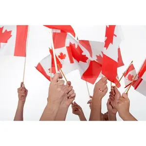 Promotional <b>flags</b> custom merchandising - Product Image 1