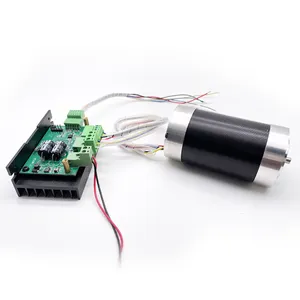 Tt Motor Borstelloze Elektrische Motor Hoge Snelheid TEC56100 Grasmaaier Bldc Motor