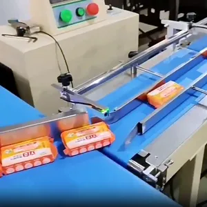 Cartoning Machine Fully Automatic Food Grade Cookies Chocolate Bar Fully Automatic Carton Small Box Packing Cartoning Packaging Machine