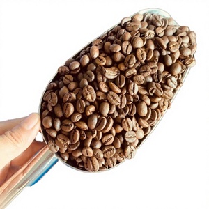 Meilleur Prix 2025 – Café en Grains Entiers Arabica et Robusta Vietnamien de Haute Qualité, Torréfaction Claire, Saveur Miel de Forêt et Chocolat Noir, Grade A+ - Product Image 3