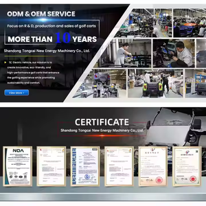 OEM 전기 골프 카트 맞춤형 좌석 옵션 2 4 6 8 10 좌석 선택 가능 48V 60V 72V 리튬 또는 납산 배터리 - Product Image 6