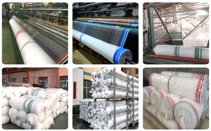 100% Trinh Nữ HDPE nông nghiệp chống mưa đá <span class=keywords><strong>Net</strong></span> 45gsm 50gsm 55gsm 60gsm 70gsm 2m x 70m 3m x 70m 4m x 7m 6m x 70m 8m x 70m 10m x 70m - Product Image 4
