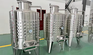 Équipement de brassage de vin à plaques alvéolées 500L, équipement de brassage d'<span class=keywords><strong>alcool</strong></span> fruité, machine à <span class=keywords><strong>cidre</strong></span> à vendre - Meilleures ventes - Product Image 2