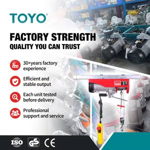 <span class=keywords><strong>Mini</strong></span> Grúa Eléctrica Toyo Modelo Económico, Motor de Elevación de 50 Kg Pa250, <span class=keywords><strong>Mini</strong></span> Cabrestante Eléctrico con Cable de Acero - Product Image 2