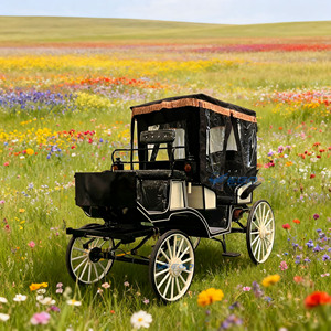 Nueva luz a juego de colores <span class=keywords><strong>en</strong></span> blanco y negro, turismo de lujo, carruaje tirado por caballos, carruaje Royal Sightseeing Victoria con dosel - Product Image 1