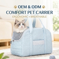 Sac de transport pour chat respirant OEM ODM avec sangle d'épaule ergonomique, sac de transport portable pour animaux de compagnie avec fenêtre en maille pour petits chats, idéal pour les voyages en extérieur