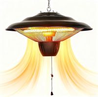 Chauffage infrarouge de plafond Goldisgood 1500W avec télécommande, éclairage et étanchéité pour usage extérieur, couverture de 46 à 550 m²