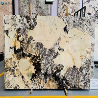 Dalles de marbre du Brésil translucides de luxe, granit Patagonia pour sols, murs ou comptoirs