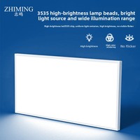 Éclairage LED Zhiming blanc laiteux pour terrain de badminton, à montage mural/plafond, panneau plat, 60W/160W, haute luminosité, boîtier en aluminium