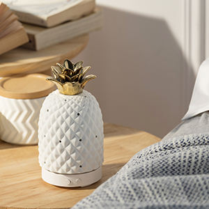 Керамический электрический увлажнитель воздуха в форме ананаса с функцией холодного тумана, питанием от USB, для дома, автомобиля и использования на улице, для ароматерапии - Product Image 6