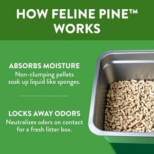 Litière <span class=keywords><strong>pour</strong></span> chat non agglomérante Feline Pine Platinum, sans traces, sans parfum ajouté, contrôle <span class=keywords><strong>des</strong></span> odeurs, 18 lb - Product Image 3