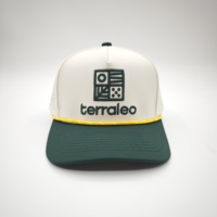 Gorra de Béisbol Deportiva Ajustable e Impermeable, Bordado 3D, Bordado a Mano, Diseño Dobby, Argyle, Puntos, Leopardo, Cierre a Presión, Personalizable