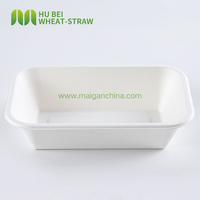 Barquette jetable en bagasse Retangel 950 ml, résistante à l'huile et à l'eau, 100 unités ° Usine de plateaux en fibres végétales C