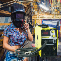 Piccoli saldatori a Gas portatili MMA TIG MAG MIG senza Gas per saldatrice a Co2 in acciaio inossidabile di alluminio con buon prezzo
