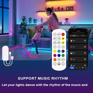 Contrôleur intelligent WiFi 24 touches pour bande lumineuse LED DC5-24V RGB SPI Pixel 1 canal variateur musical - Product Image 4