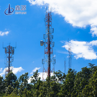 Tour de télécommunication monopode 5G 4G certifiée ISO CE, 10-30m, en acier Q235B Q355B