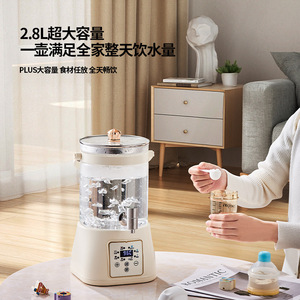 กาต้มน้ำไฟฟ้า Good Lady Health Pot ขนาด 1.5-2 ลิตร พร้อมไส้แก้ว ควบคุมอุณหภูมิ และฟังก์ชั่นอุ่นร้อน สำหรับใช้ในบ้าน - Product Image 4