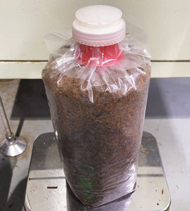 Capuchon et anneau en PP multi-spécifications pour sac de culture de champignons comestibles, capuchon et anneau de haute qualité pour sac de culture de champignons - Product Image 4