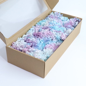 อินส์ สไตล์ ไฮ คุณลิตี้ ฟอร์เอเวอร์ ลาสติ้ง แอนนา ไฮเดรนเยีย กล่อง 100 กรัม หลากสี เป็นมิตรกับสิ่งแวดล้อม สำหรับตกแต่งบ้าน วันอีสเตอร์ วันคริสต์มาส - Product Image 4